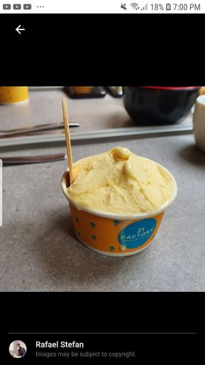 Vegan Gelato (photo by Rafael Stefan) at Kinkitsuya in Jakarta