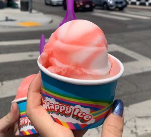   at Happy Ice in Los Angeles