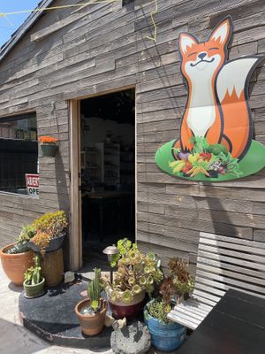 Cute lil’ patio where we ate. at La Cocina del Zorro in Tijuana