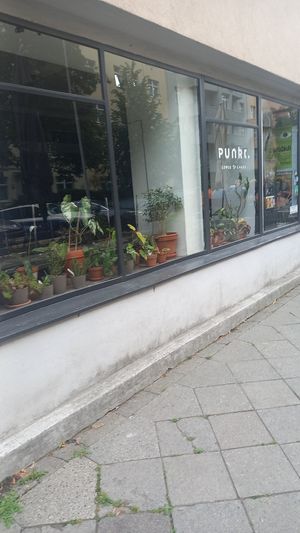 outside at Punkt in Brno