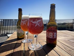   at Havenpaviljoen Wad Anderz in Schiermonnikoog