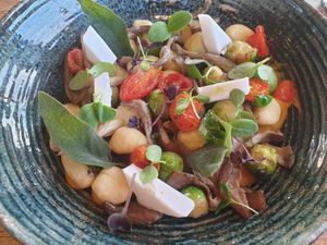 Vegan gnocchi with questionable cheese at Havenpaviljoen Wad Anderz in Schiermonnikoog