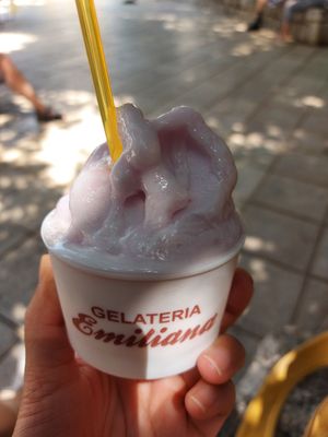 Lavender rose (melted) : lots of flavors, I liked it at Gelateria Emiliana in Split