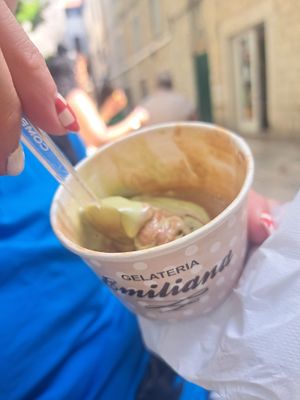 Nearly all scoffed, but look at the creamy goodness 🤤🍦🌱 at Gelateria Emiliana in Split