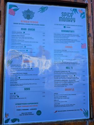 Menu - vegan curry at Spice Monkey in Utrecht