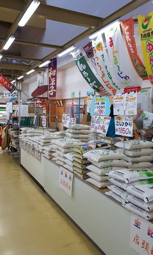 Rice at Yunta Ichiba in Yomitan
