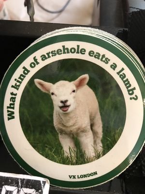 Lamb at Vx in North London