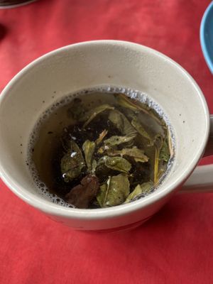 Myanmar green tea   at Two Sisters in Pai