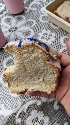 Vegan lemon cake at Sødahlhuset in Aandalsnes