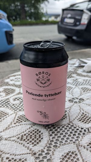 Lingonberry sparkling water at Sødahlhuset in Aandalsnes