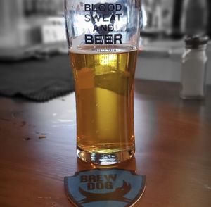 Beer! at BrewDog in Indianapolis