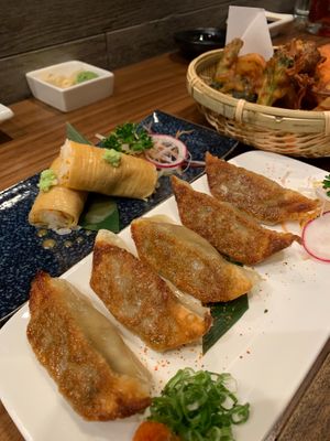 Gyoza  at Chikyū Vegan Sushi Bar & Izakaya in Las Vegas