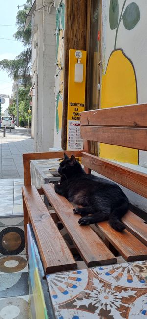  at Limonita Express in Istanbul