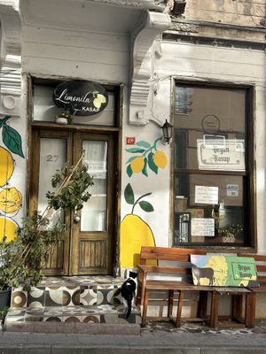 Closed for refurbishment...  at Limonita Express in Istanbul