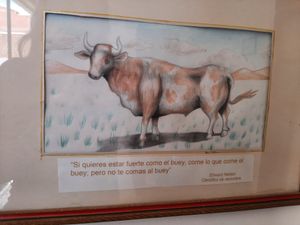 art at Snack Vegetariano Dona Franca in Sucre