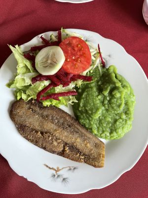 Eggplant milanese with mash and salad, yum  at Snack Vegetariano Dona Franca in Sucre