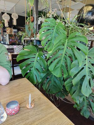  at Abdus Soul Kitchen and Cafe in Altotting