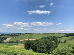 The view  at Weingut Buschenschank Firmenich - Steinberghof in Ehrenhausen