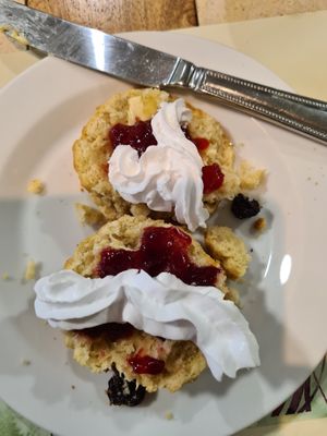 Fresh warm scones at Goats & Oats at Garsdale in Sedbergh