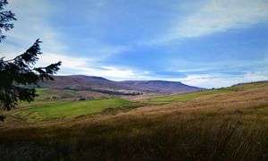 The view from your window! at Goats & Oats at Garsdale in Sedbergh