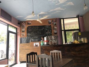 Vibes  at Sol de Maple in Cozumel