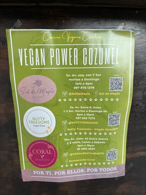 One of 3 vegan restaurants here   at Sol de Maple in Cozumel