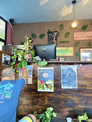   at Sol de Maple in Cozumel