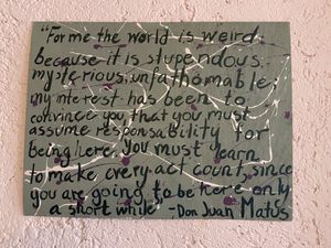   at Sol de Maple in Cozumel