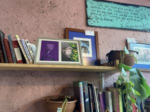   at Sol de Maple in Cozumel