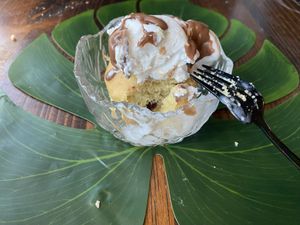   at Sol de Maple in Cozumel