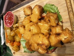 The Tofishy  at Sol de Maple in Cozumel