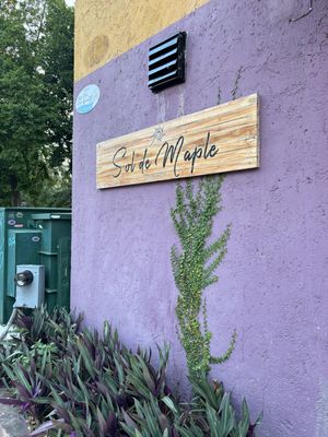   at Sol de Maple in Cozumel