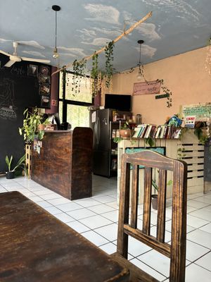   at Sol de Maple in Cozumel