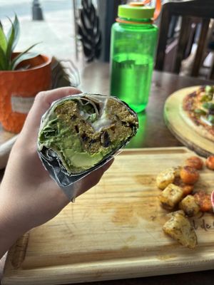   at Sol de Maple in Cozumel