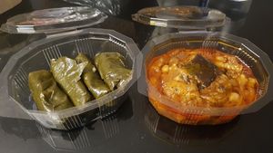 Vine leaves and moussaka at Les Délices du Liban in Montpellier