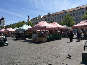 Market at Möllevångstorget in Malmo
