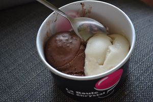 1 boule chocolat végétal + 1 boule vanille végétale (lait de riz) at La Boule de Chrystal in Ottignies-louvain-la-neuve