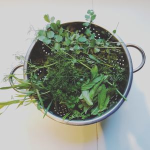 Fresh herbs from the garden at Diner sur Terre in Torhout