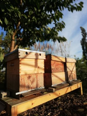 The Honey factory at Diner sur Terre in Torhout