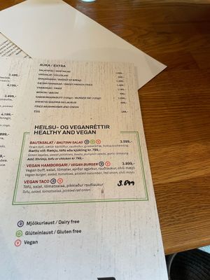 vegan options on the menu at Bautinn in Akureyri