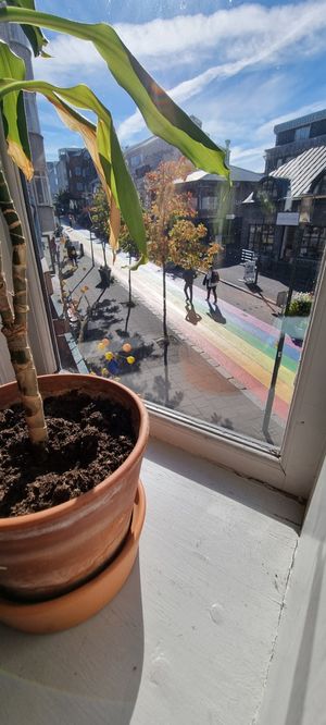  at Mama  in Reykjavik