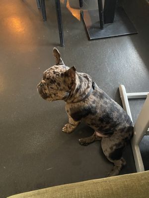   at Mama  in Reykjavik