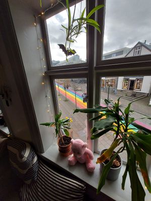  at Mama  in Reykjavik