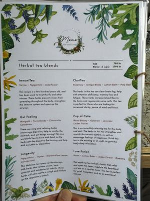 Menu - Herbal Tea Blends at Mama  in Reykjavik