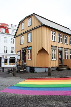 the house on the outside at Mama  in Reykjavik