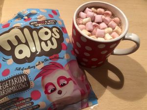 hot coco with vegan marshmallows  at Vegansko.si in Ljubljana