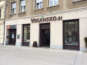 It is a beautiful space!  at Vegansko.si in Ljubljana