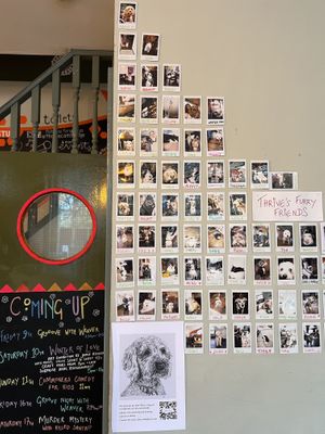 Dogs welcome  at Thrive in Cambridge