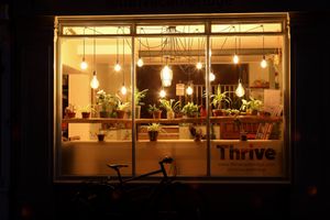 Thrive - at night at Thrive in Cambridge