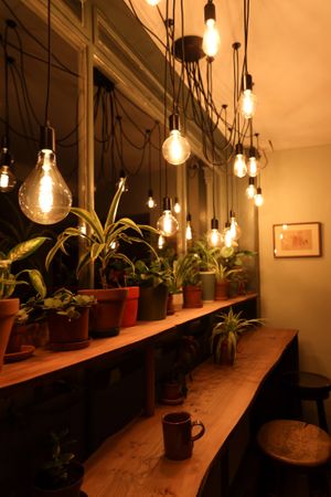 the bar at Thrive in Cambridge